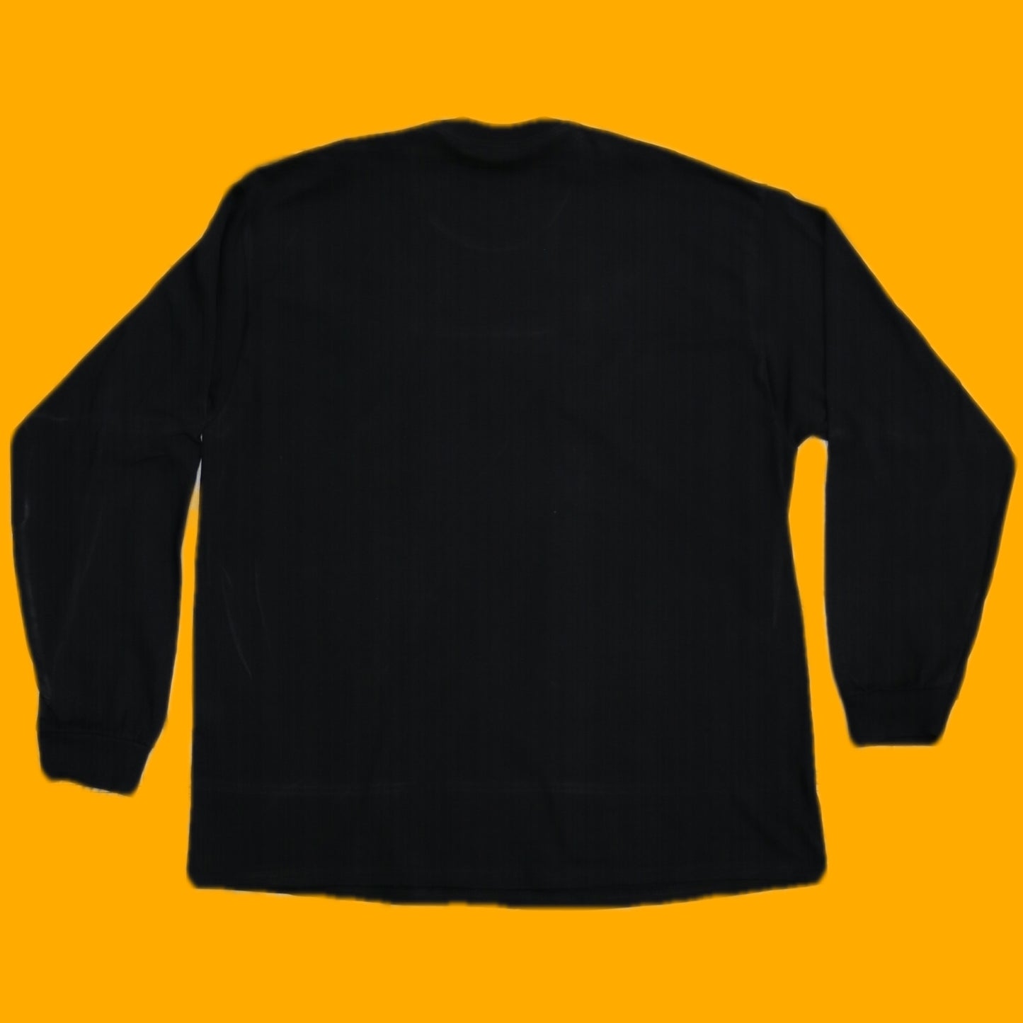 FS Longsleeve T-Shirt